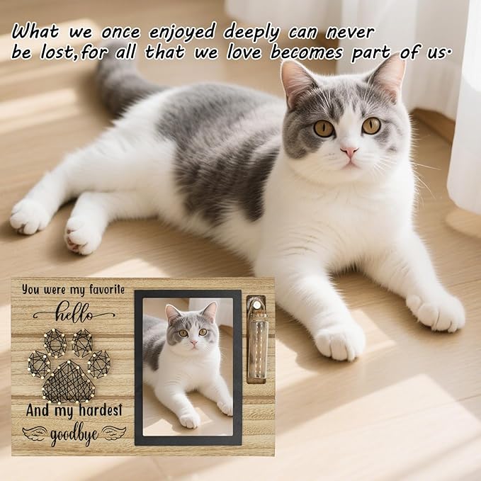 Dog Memorial Gifts for Loss of Dog, Picture Frame for 4.3x6.3in Photo with a Glass Bottle for Collect Hair, Loss of Dog Sympathy Gift - Cat Pet Bereavement Remembrance Picture Frame