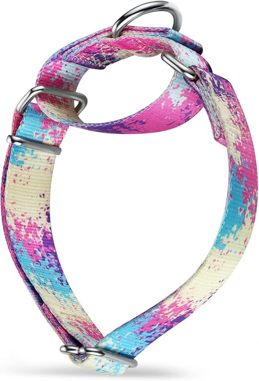 Martingale Dog Collar Escape-Proof for Training - No-Buckle, Durable Polyester Design for Medium Breeds (Profusion Colorful, M)