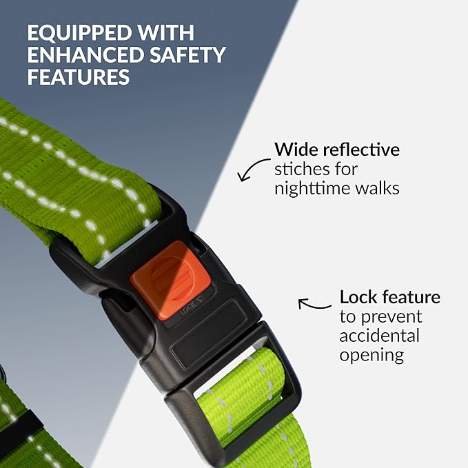 CollarDirect Martingale Dog Collar with Stainless Steel Chain and Quick Release Buckle - Reflective Collar for Large, Medium, Small Dogs - Lime Green, Small (Neck Size 12"-15")