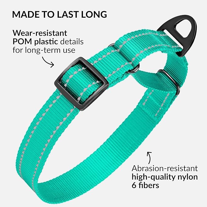 Collardirect Reflective Martingale Dog Collar Nylon Training Collars for Small Medium Large Dogs Puppy Pink Orange Green (M, Neck Size 13"-18", Mint Green)