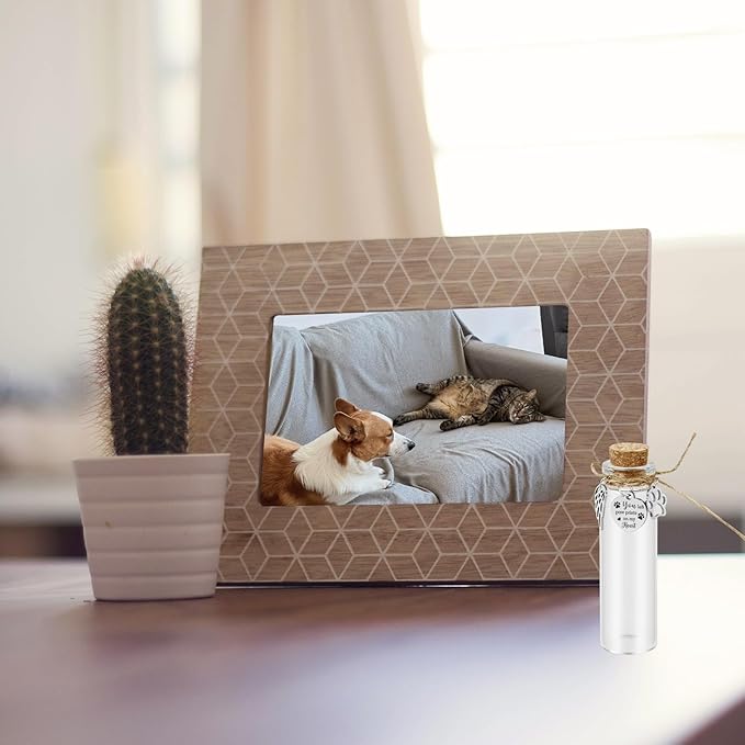 Pet Hair Memorial Glass Bottle,Vial for Ashes Or Hair Dog Or Cat Keepsake Pet Loss Memory Sympathy Gift (1pcs Glass Bottle)