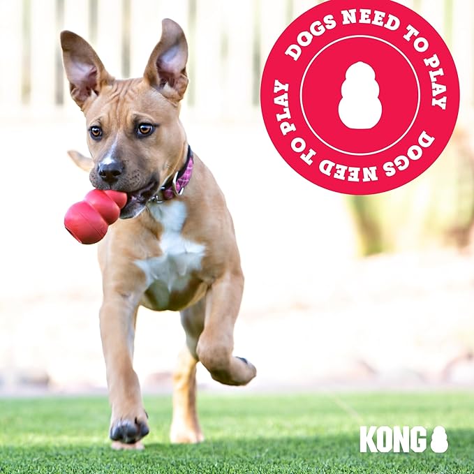 KONG Jerky Chicken Md/Lg 5 oz, Pack of 2