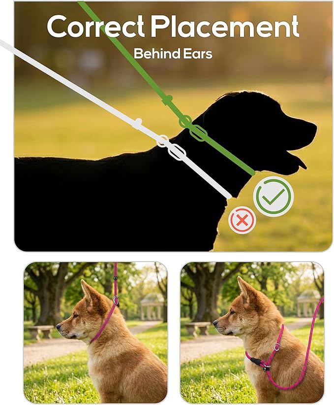 TagME Slip Leads for Dogs that Pull, 6 FT No-Pull Training Leash with Lock, Escape-Proof Design, Reflective & Padded Handle for Small Dogs, Hot Pink