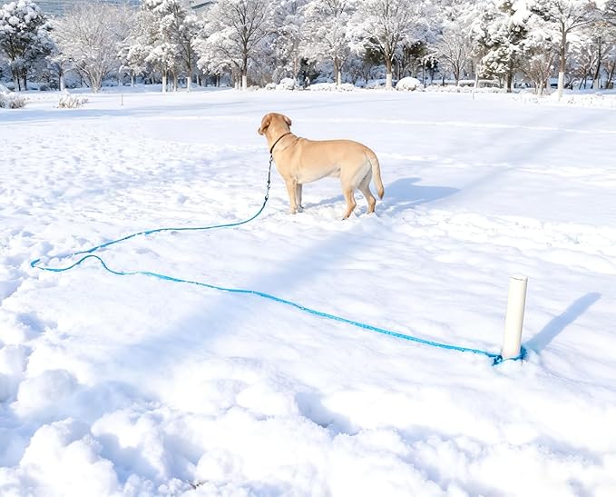 30FT Tie Out Rope Dog Leash, Long Tether 10-15-20-30 FT Dog Tie Down Nylon Check Cord for Medium Large Dogs Outdoor Playing Camping Backyard (Blue, 3/8")
