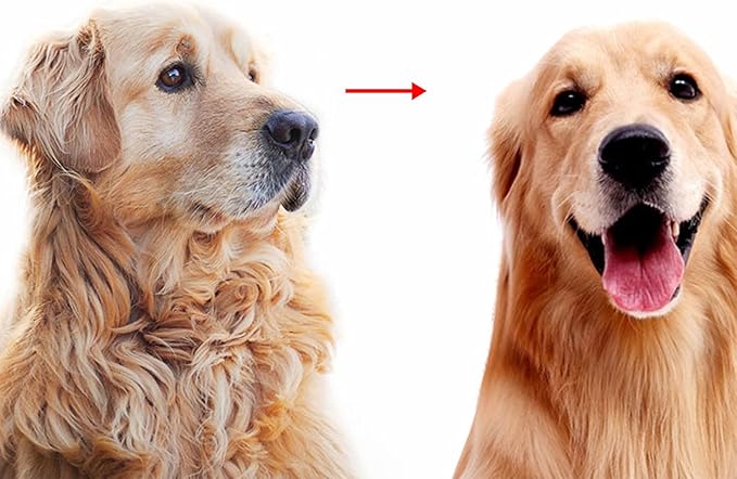 Pet Grooming Tool-2 Sided Undercoat Rake for Dogs &Cats-Safe and Effective Dematting Comb for Mats&Tangles Removing-Deshedding Brush for Large Dogs to Small Dogs(Large)