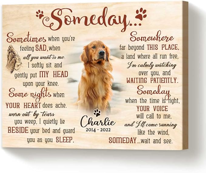Benicee Shop Personalized Dog Memorial Gifts, Dog Memorial Frames For Pictures, Memorial Gift For Loss Of Dog, Pet Bereavement Gift, Pet Sympathy Gift, Dog Remembrance Gift 8x10 Inches