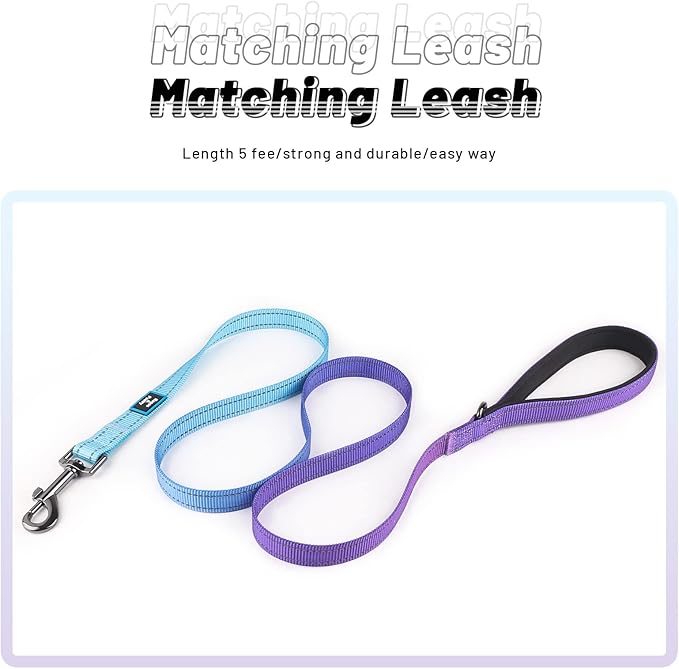 Roses&Poetry Reflective Dog Collar and Leash Set for Large Dogs, Blue and Purple Collar and Leash, Personalized Adjustable Durable Pet Matching Collars Leashes for Girl and Boy （Violet-L