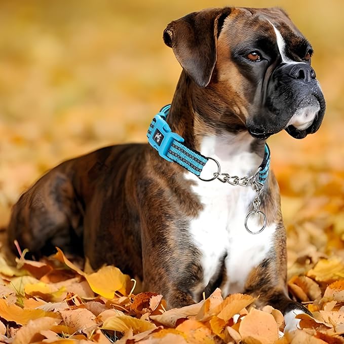 Blue Martingale Dog Collar Designed for Large Breeds, Featuring Anti-Choking Safety, no-Pull Correction for XL Dogs