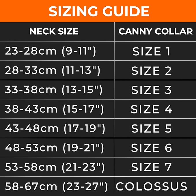 Canny Collar No-Pull Dog Head Collar | Train Your Dog to Stop Pulling & Walk On a Loose Leash | Gentle, Safe, Comfortable Training Aid | Medium Dogs | Blue, Size 4