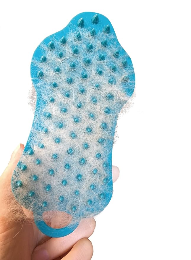 Hario Pet Brush, Glutte, Hard, Other, Blue, Dog