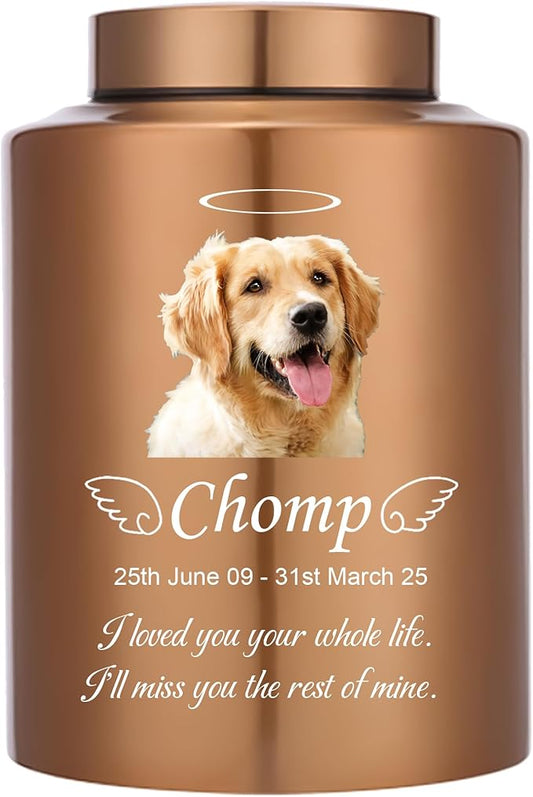 Custom Urns for Dogs Cats Ashes Personalized Pet Urn with Name and Photo Pet Cremation Memorial Urn for Loss of Dog or Cats Engraved Pet Funeral Urns (Angel)