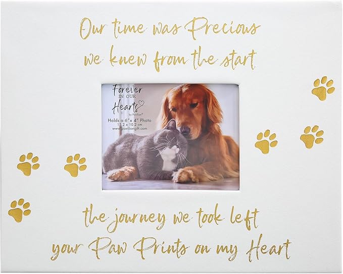 Pavilion Gift Company - Paw Prints On My Heart - Memory Box With 5" x 4" Photo Holder Loss Of Pet Cat Dog Bereavement In Memory
