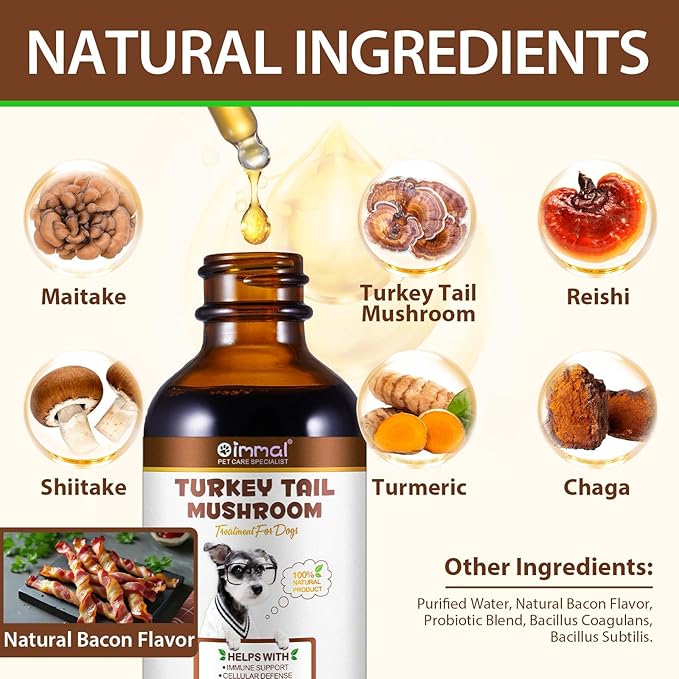 Turkey Tail Mushroom for Dogs, Mushroom Blend, Turmeric & Probiotic for Immune, Digestive & Joint Support, Turkey Tail for Dogs, 60ml