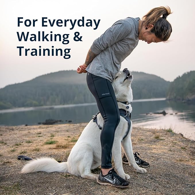 Ruffwear, Front Range Dog Harness, Reflective Soft Padded Everyday Harness with Dual Leash Clips, Adjustable and Lightweight Fit for Training or Walking for All Dogs, Basalt Gray, Small