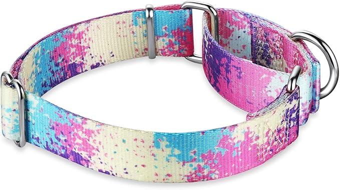 Martingale Collar for Dogs Escape-Proof No-Pull, Durable Polyester Training Collar for Dogs, No-Buckle (Profusion Colorful, Large)