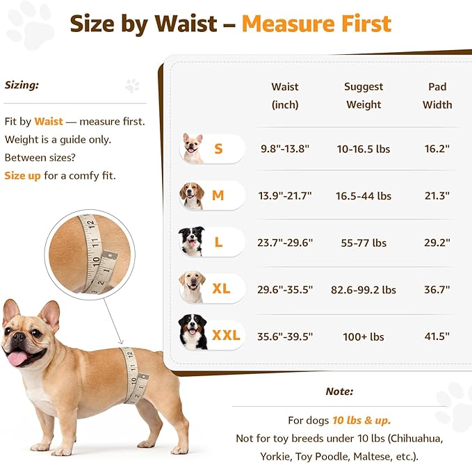 Adjustable Dog Lift Harness, Dog Sling for Large Dogs Lift Support and Rehab Harness for Weak Rear Legs, Soft Hind Leg Support Helps Senior, Injured, Disabled and After ACL Surgery Dogs(Black,Small)
