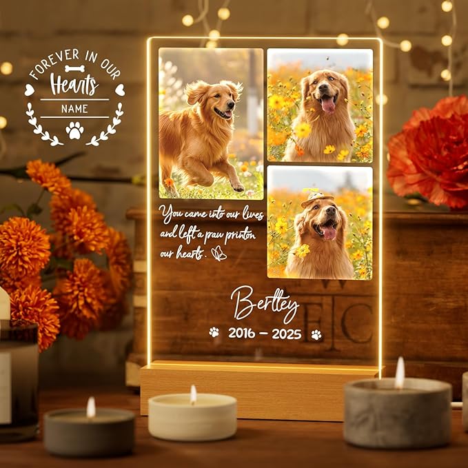 Bemaystar Dog Memorial Gifts for Loss of Dog Pet Memorial Gifts for Dogs Cat Memorial Gifts Custom Pet Memorial Night Light Pet Loss Gifts, Memorial Plaques for Dog Memorial Picture Frame - 3 Photos