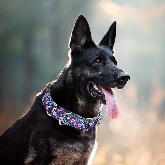 Martingale Collar for Small Dogs, Heavy Duty Training Collars with Bull Flower Design, Adjustable No Slip Collar with Safety Buckle for Girl or Boy, Perfect for Training, Walking, Hunting (S)