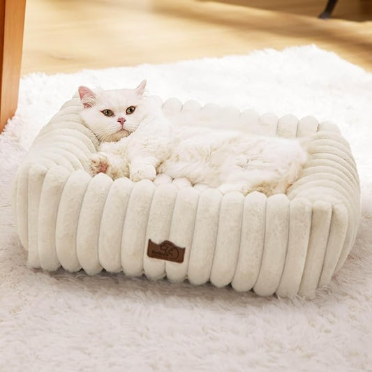 Bedsure ComfyFleece™ Cute Dog Bed for Small Dogs & Cats - Washable Furry Cat Beds, Rectangle Orthopedic Corduroy Fleece Puppy Beds with Removable Zipper Cover, 20x19x6inches, Cream