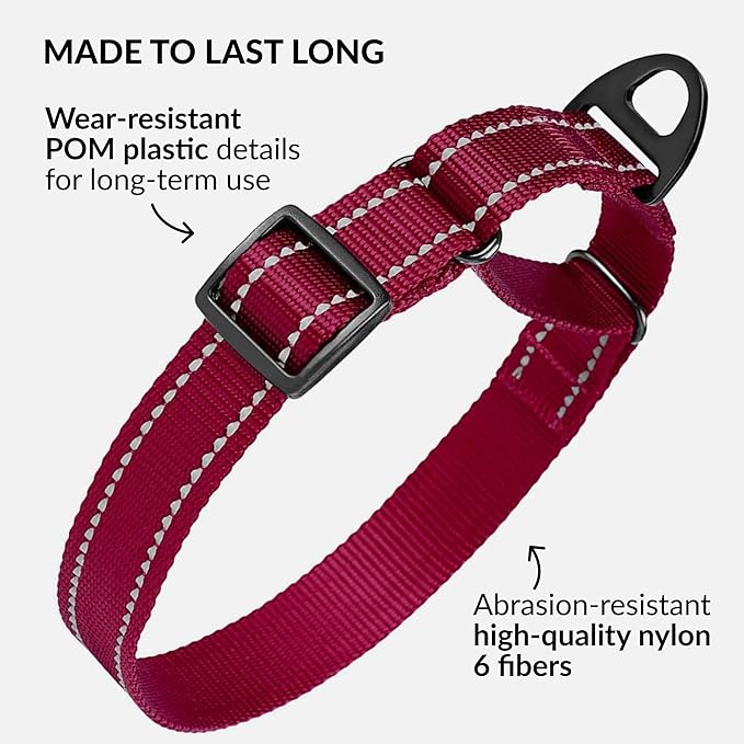 CollarDirect Reflective Martingale Dog Collar Nylon Heavy Duty Training Pet Collars for Small Medium Large Dogs Puppy Black Blue Mint Green Red Pink Purple Dark Red (S, Neck Size 11"-15", Dark Red)