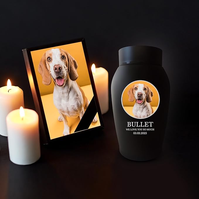 Personalized Custom Photo Dog Urn Engraved Dog Name and Date Stainless Steel Cremation Urns for Dogs Ashes with Pet Photo | Up to 50 Lbs | Standard 7" x 5" | Black
