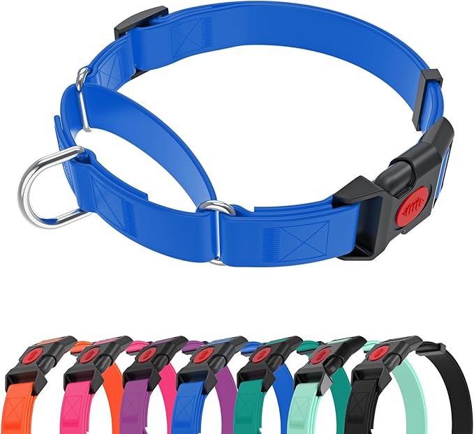 Waterproof Martingale Collar for Dogs,Easy to Clean Dog Collars with Safety Quick Release Buckle,Rubber Collar for Medium Large Dogs Walking Training (Blue, M (16.5-20.8inch))