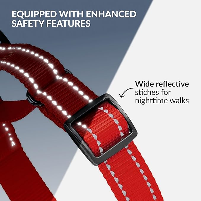 CollarDirect Reflective Martingale Dog Collar Nylon Heavy Duty Training Pet Collars for Small Medium Large Dogs Puppy Black Blue Mint Green Red Pink Purple Dark Red (M, Neck Size 13"-18", Red)