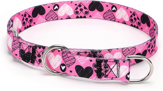 Training Dog Collar, No Pull Martingale Collar, Slip Collar with Slidable Stop Ring for Small, Medium, Large Dogs (NO3, L)