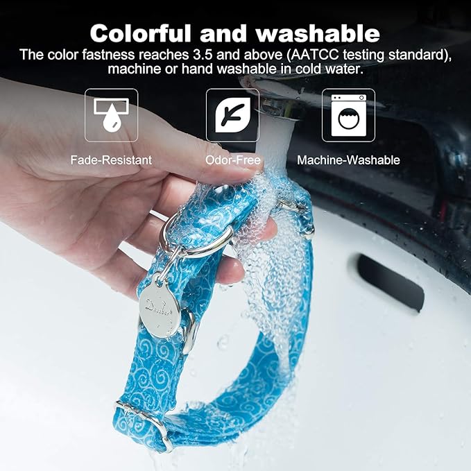Martingale Collar Nylon Dog Collar No Pull Pet Collar Heavy Duty for Medium and Large Dogs, Adjustable 14 Inch - 21 Inch, Sky Blue