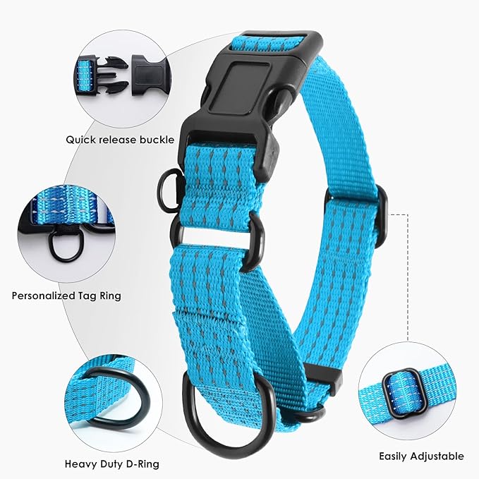 Martingale Collar for Dogs, Reflective Heavy Duty with Quick Release Nylon Buckle, No Pull Training Choker for Walking, Training, Sky Blue,M