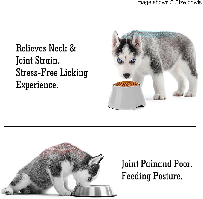 Dog Bowls,Cone Friendly Non Slip Single Dog Bowl with Stainless Steel Inner, Raised Bowls for Small Dogs Spaniel Dogs Long Ear, High Capacity, M/2 Cup Gray