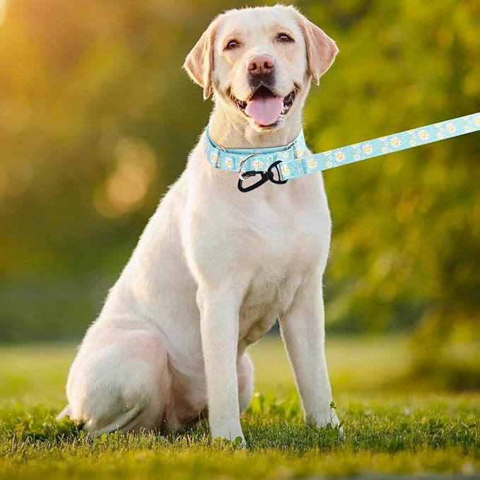 Martingale Collar for Medium Dogs, Girl Dog Collar with Daisy Flowers, Heavy Duty No Pull Dog Collar Floral Design Dog Training Collar, Perfect for Training, Walking, Hunting (Light Blue + Leash, M)