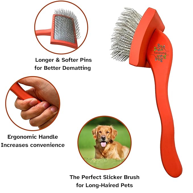 Professional Grooming Large Slicker Brush for Dematting Goldendoodles, Labradoodles, Poodles - Long Stainless Steel Pins for Thick Coats, Red - [TaiQiang]