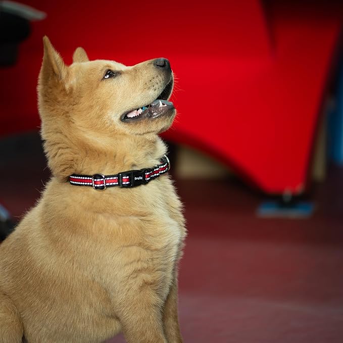 Hyhug Reflective Martingale Dog Collar with Buckle: Escape-Proof, No Slip Heavy Duty Nylon, Colorfast Adjustable Pet Supplies for Small Breeds(Reflective Red, Extra Small)