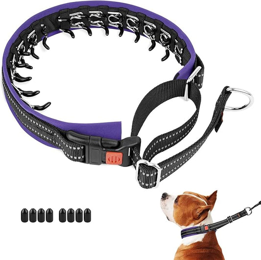Mayerzon Martingale No Pull Collar for Medium Large Dogs, Patented Anti Pull Dog Collar with Buckle for Walking Training, with Neoprene Padding and Reflective Stitching, Adjustable(Purple Trim, L)