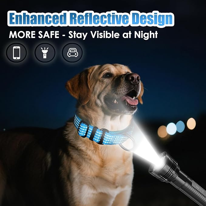 Martingale Collar for Dogs, Reflective Heavy Duty with Quick Release Nylon Buckle, No Pull Training Choker for Walking, Training, Sky Blue,M