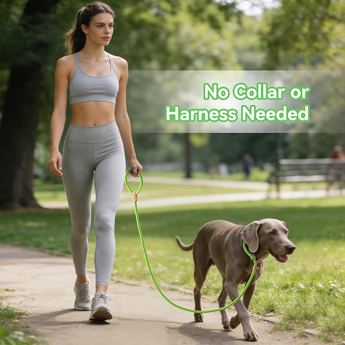 Mile High Life Slip Lead Dog Leash - 4FT, 5FT, 6FT Heavy Duty Rope Leash for No Pull Training, Durable Braided Dog Lead with Leather Stopper & Tip for Medium Large Dogs