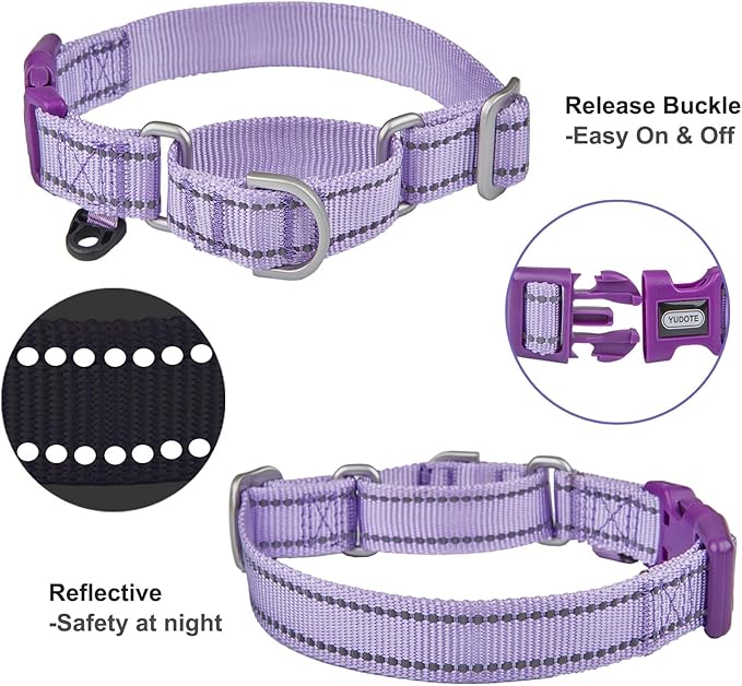 Reflective Martingale Collar for Dogs with Quick Snap Buckle Anti-Pull Nylon Safe Slip Collars for Easy Walking,Lilac,Small