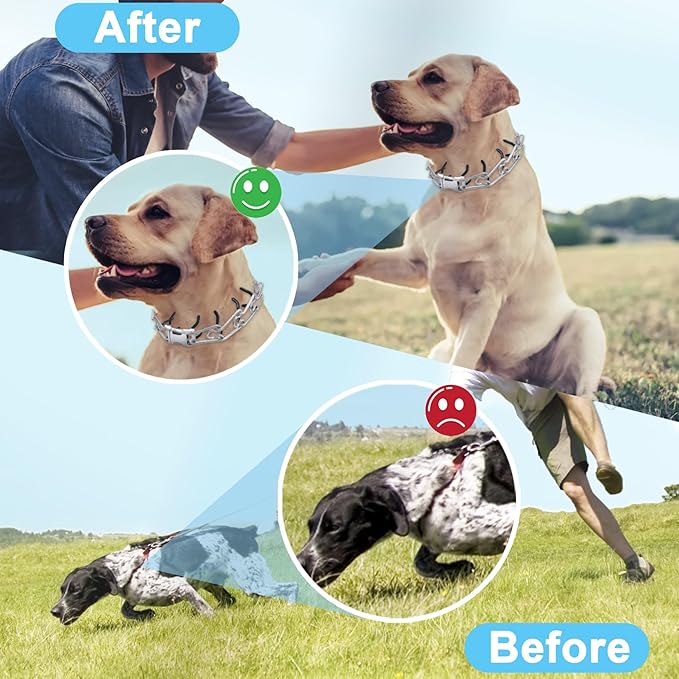 Prong Training Collar for Dogs, Adjustable Dog Training Pinch Collar with Quick Release Buckle, No Pull Collar for Small Medium Large Dogs, Extra Link and Caps (M/L(17-21" Neck, 3.00mm))