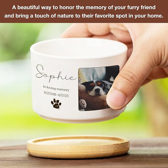 Personalized Dog Memorial Plant Pots for Grieving Pet Owners Personalized Plant Pots Pet Loss Gifts Cat Memorial Gifts Loss of Sympathy Garden or Yard