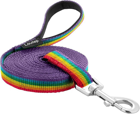 Dog Training Leash - Long Line for Recall & Obedience, Nylon Training Lead with Padded Handle, 15 ft / 20 ft / 30 ft / 50 ft / 100 ft - Long Leash for Dogs Outside, Small/Medium/Large