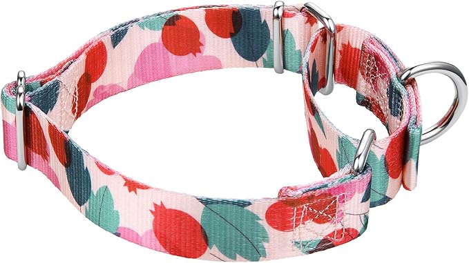 Mikivery Martingale Collar 1 inch Slip On and Off,NO Buckle Gently Tightens Medium and Large Collars