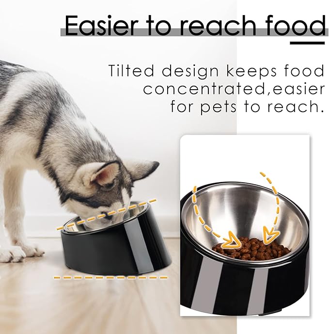 SuperDesign Mess Free 15° Slanted Bowl for Dogs and Cats, Tilted Angle Bulldog Bowl Dog Feeder, Non-Skid & Non-Spill, Easier to Reach Food L/2 Cup Dark Black