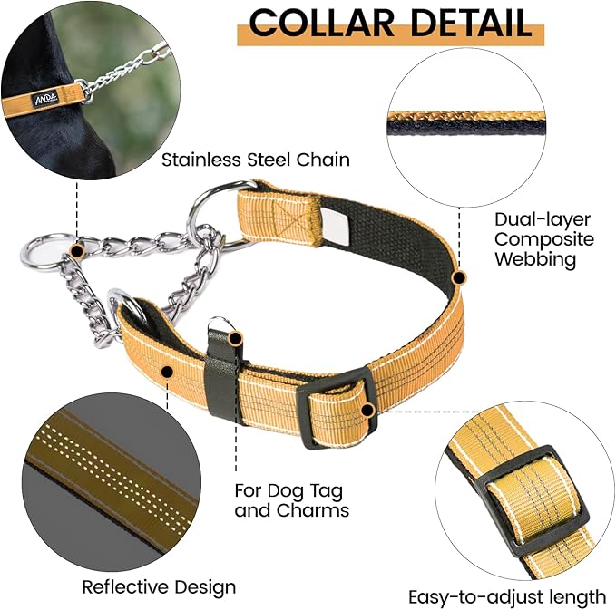 ANDA Martingale Collar for Dogs, Adjustable with Reflective Stainless Steel Chain, No-Pull Escape-Proof Training Collar for Medium and Large Breeds (Orange, Large)