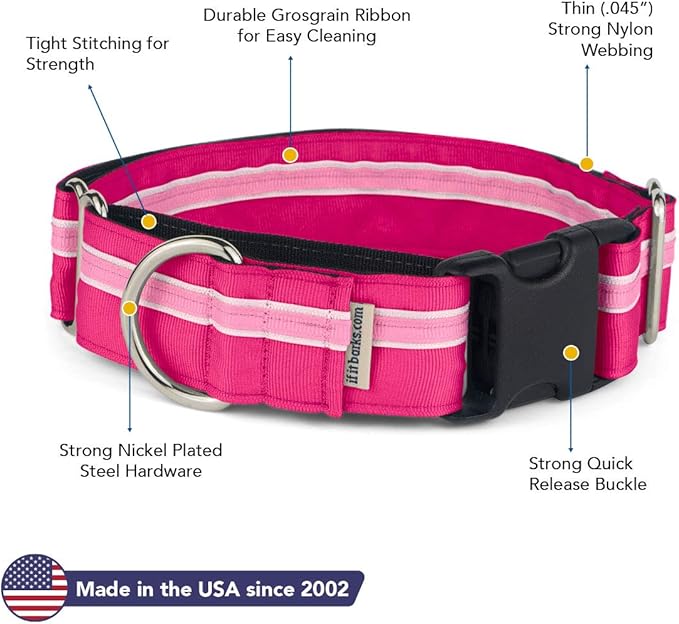 If It Barks - 1.5" Martingale Collar for Dogs - Quick Snap Release Buckle - Adjustable - Nylon - Strong and Comfy - Ideal for Training - Made in USA - Medium, Bubble Gum