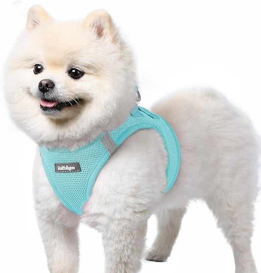 rabbitgoo Small Dog Harness, Step-in Soft Mesh Puppy Vest with Safety Buckle, Breathable Reflective Pet Harness for Small Sized Dogs, Mint Blue S