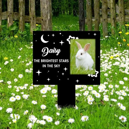 Personalized Bunny Memorial Stake Custom Rabbit Photo The Brightest Stars in The Sky Metal 12x12 inch Pet Grave Marker Rabbit Loss Gift Sympathy Gift for Rabbit Lover (Style 3)