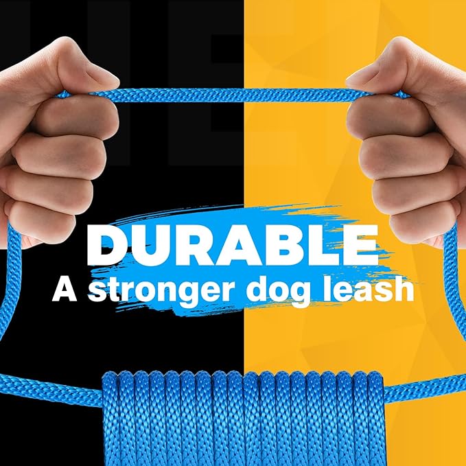 FASTFOX Dog Training Leash, 6ft x 1/2 Inch Slip Lead Loop for Small Medium Large Dogs, No Pull 3-in-1 (Blue)