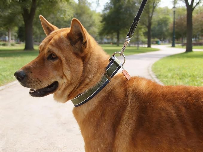 Martingale Collar 1.5 Inch Wide 1600D Extra Strong Anti Escape Nylon Dog Collar, No Pull Heavy Duty Dog Collar with 3-Color Stripe for Large to XLarge Dogs (L, Army Green & Gray)