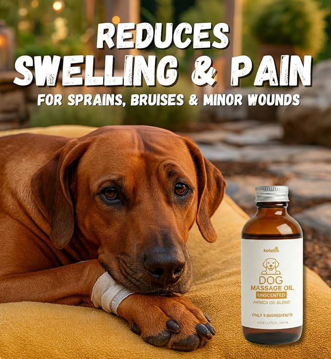 KELEBS Dog Arnica Massage Oil | Pain Relief for Muscles, Arthritis, Hips, and Joints | for Active & Senior Dogs | Organic Arnica-Infused Oil Blend – Only 5 Ingredients | Glass Bottle